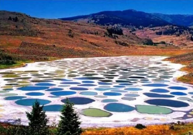 Awesome photos of nature - #22 