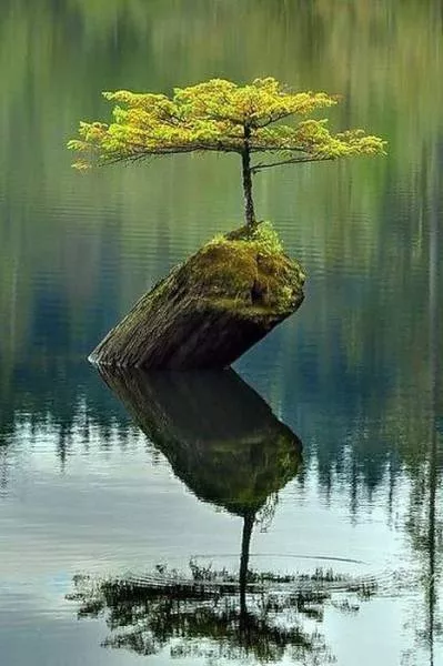 Awesome photos of nature - #32 