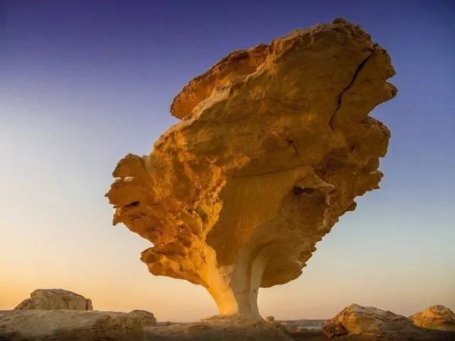 Des photos impressionnant de la nature - #9 