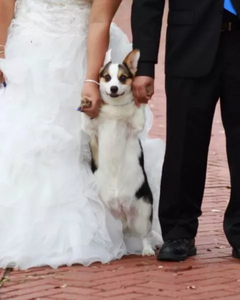 Strong moments that can mark a wedding - #33 