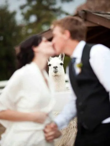 Des moments fort qui peuvent marquer un mariage - #45 