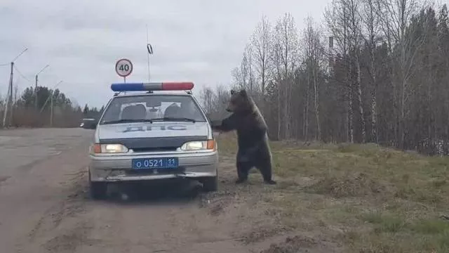 Picdump 465 - #14 