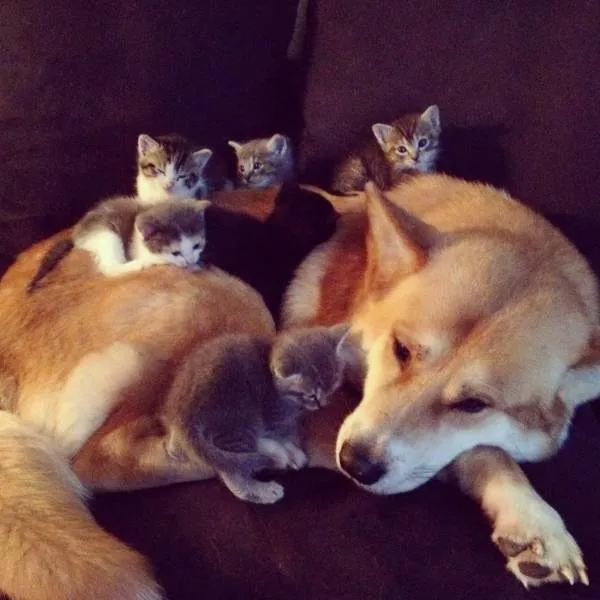 Picdump 465 - #20 