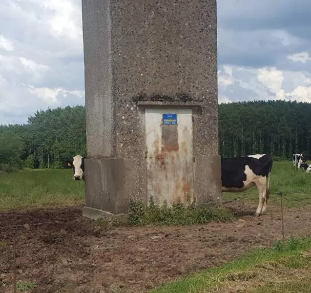 Picdump 465 - #23 