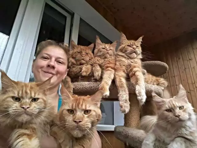 Picdump 465 - #24 