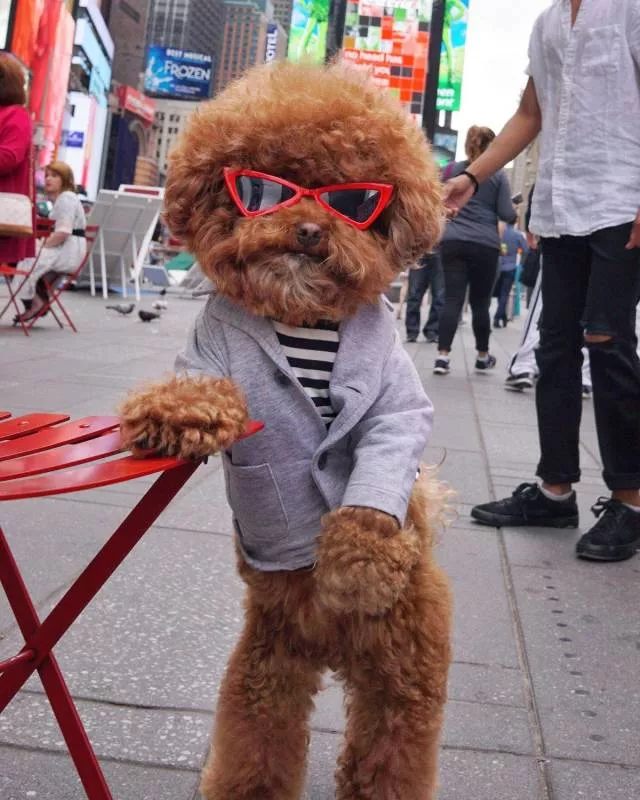 Picdump 465 - #3 