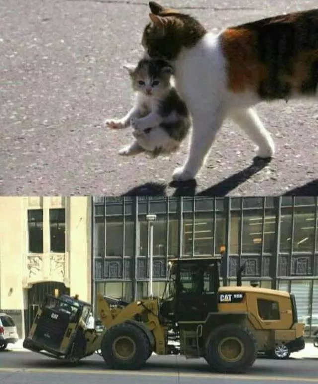 Picdump 465 - #32 