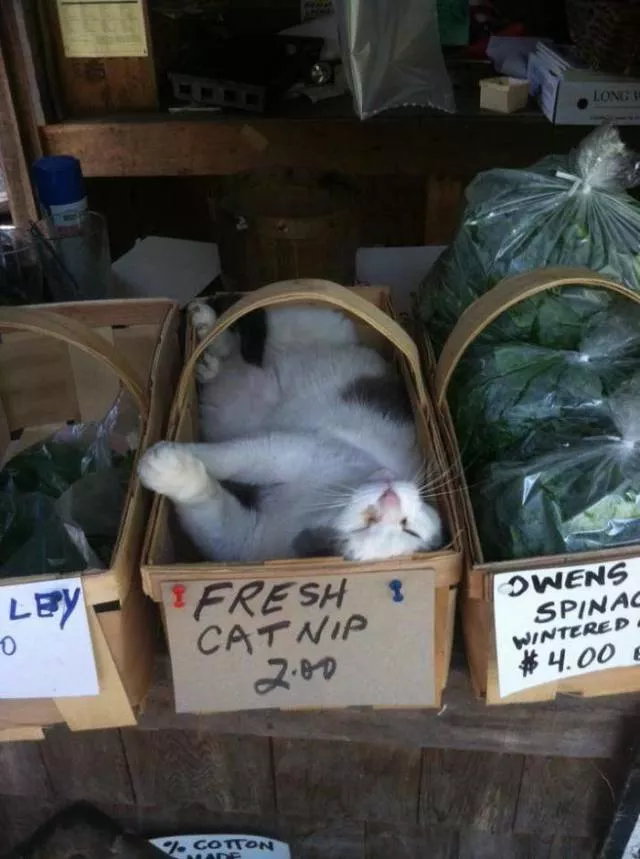 Picdump 465 - #33 