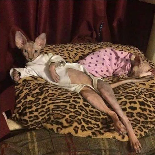 Picdump 465 - #51 