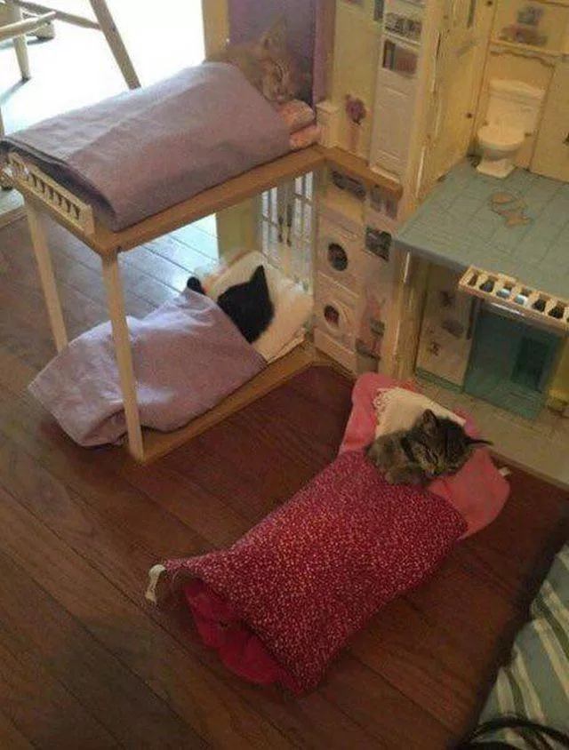 Picdump 465 - #52 