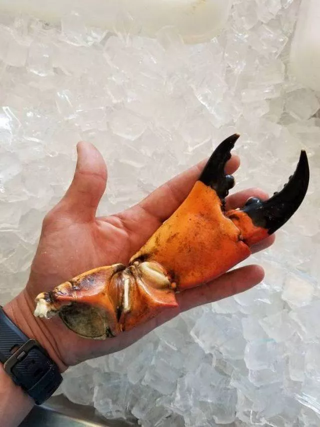 Picdump 465 - #53 