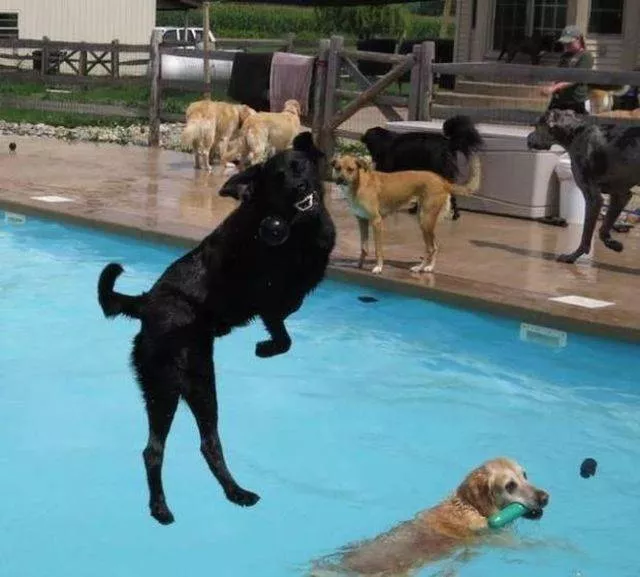 Picdump 465 - #57 
