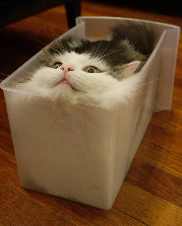 Picdump 465 - #83 
