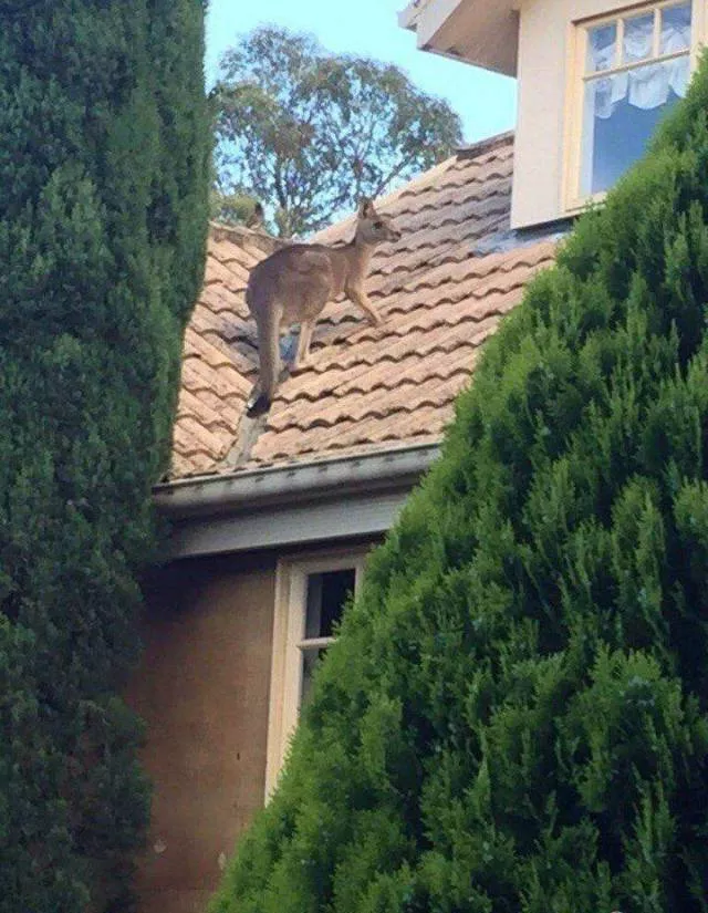 Picdump 465 - #90 