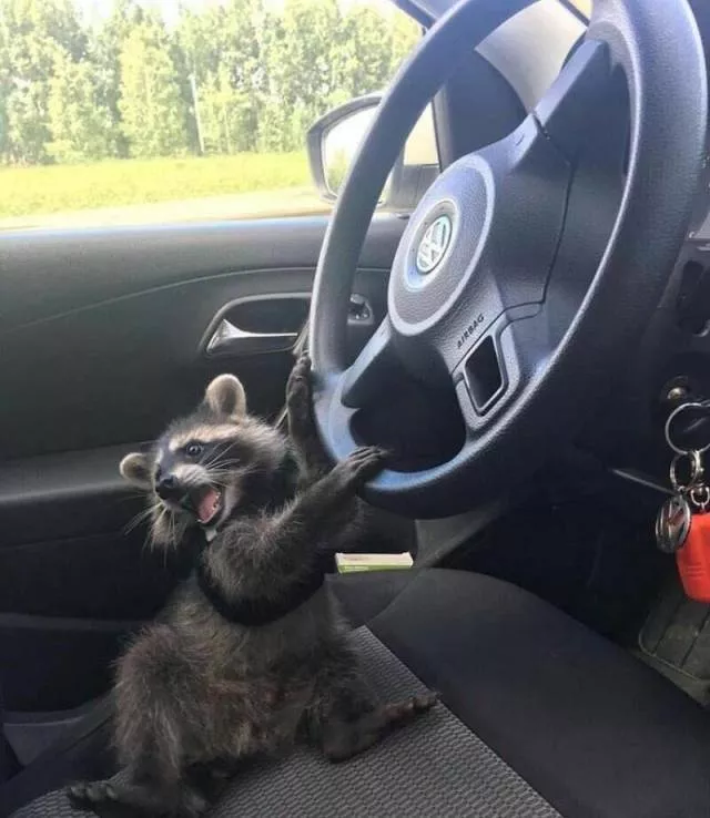Picdump 465 - #93 