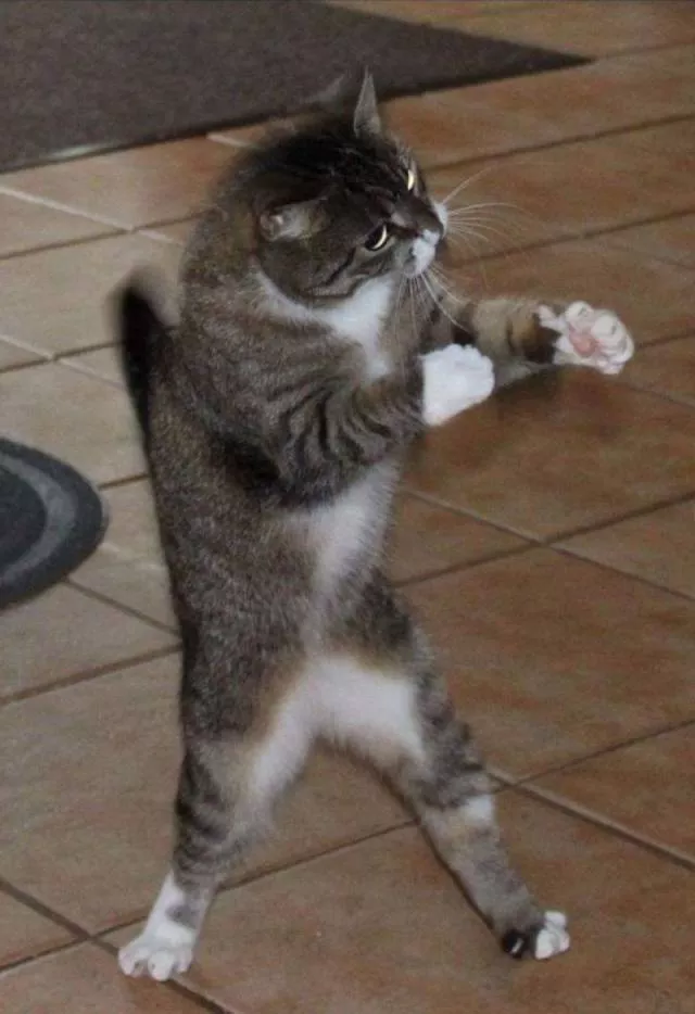 Picdump 465 - #97 