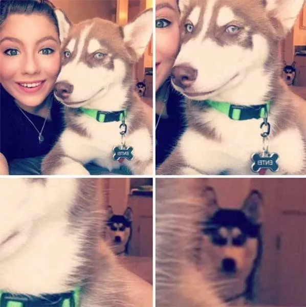 Jealousy in their faces - #10 