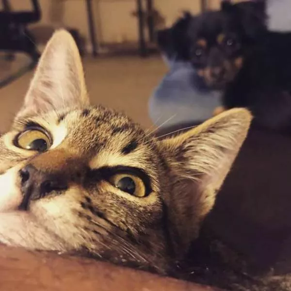 Jealousy in their faces - #15 