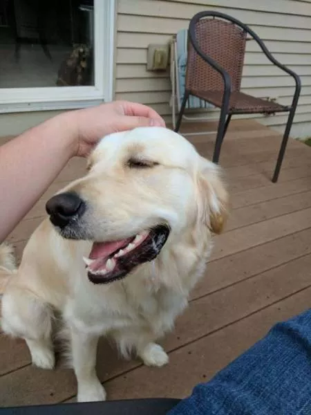 Jealousy in their faces - #30 