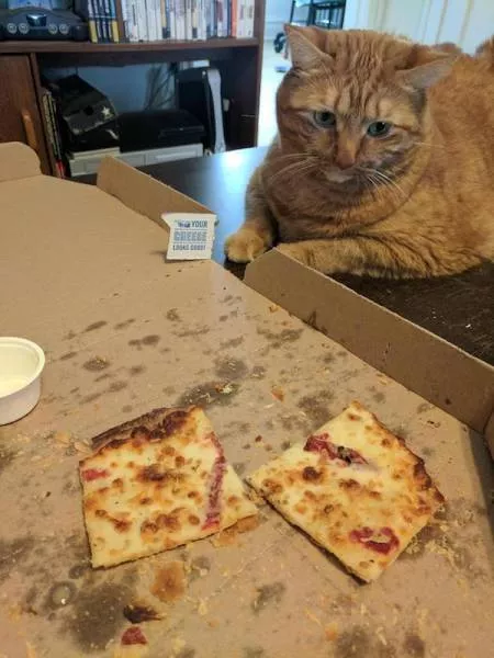 Jealousy in their faces - #35 