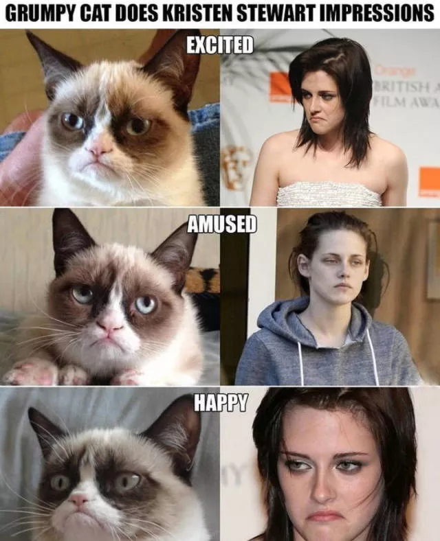 Picdump 466 - #8 