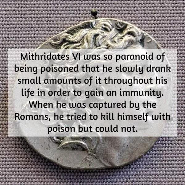 Little known historical facts - #17 
