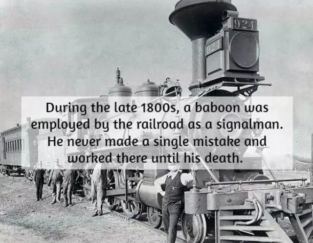 Little known historical facts - #18 