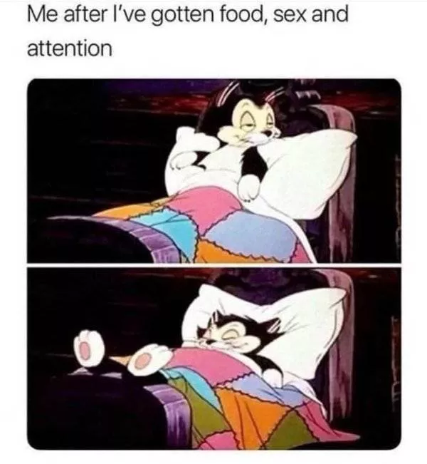Couples memes compilation - #13 