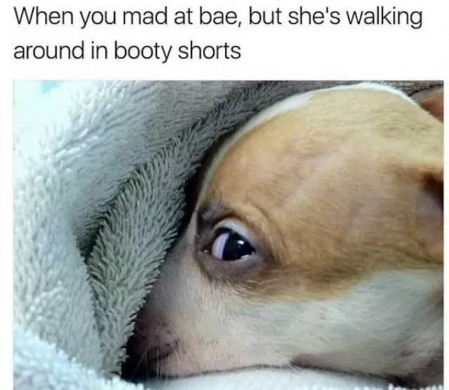 Couples memes compilation - #39 
