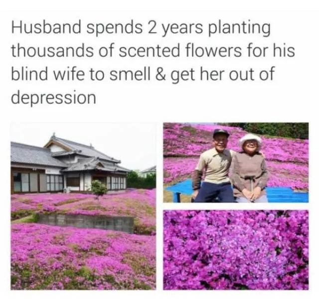 Memes speciaux couples - #44 