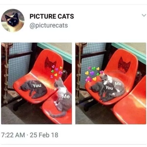 Couples memes compilation - #5 