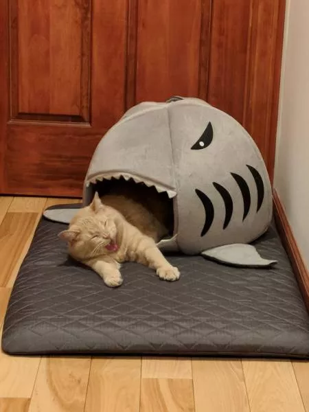 Picdump 468 - #44 