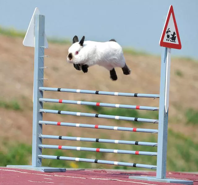 Picdump 468 - #54 