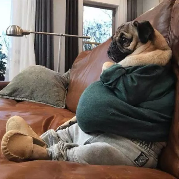 Picdump 469 - #28 