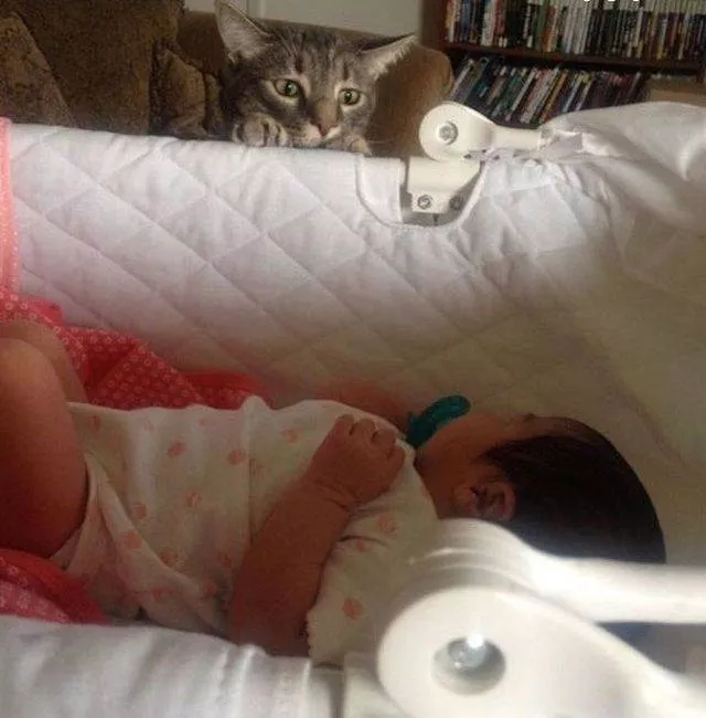 Picdump 469 - #35 