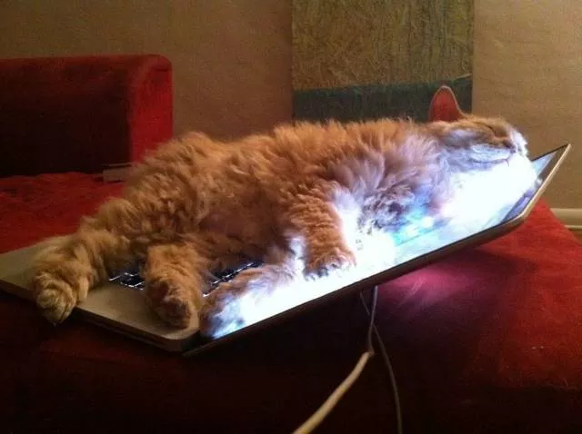 Picdump 469 - #4 
