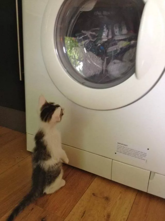 Picdump 469 - #47 