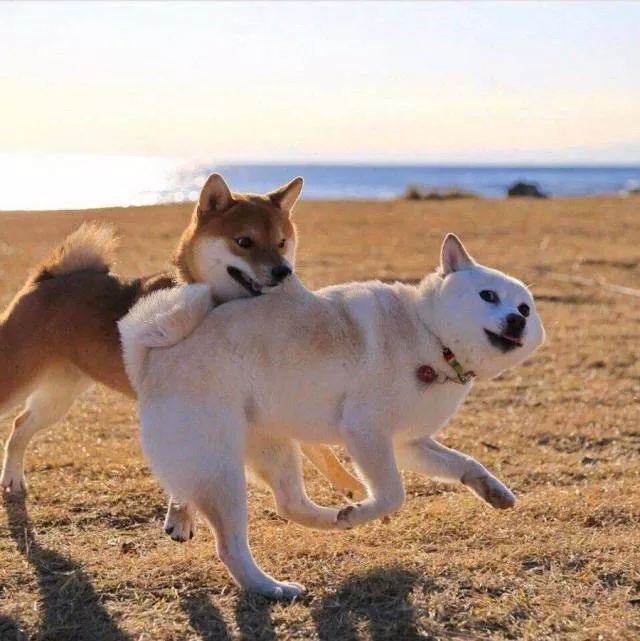 Picdump 469 - #56 