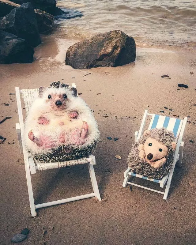 Picdump 469 - #64 