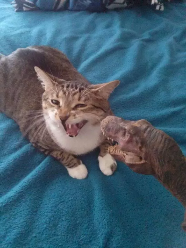 Picdump 469 - #67 