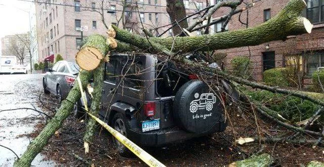 Picdump 469 - #72 