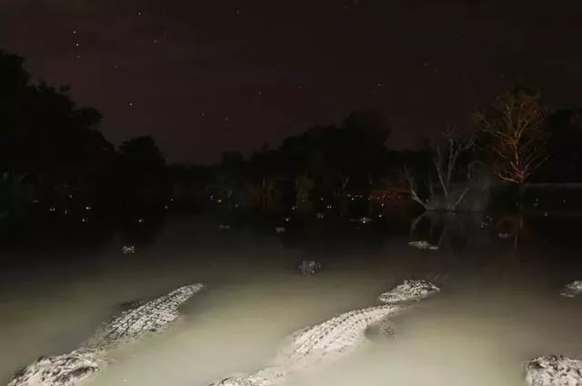Very scary moments captured - #2 