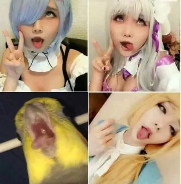 Picdump 470 - #14 
