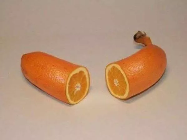 Picdump 470 - #47 