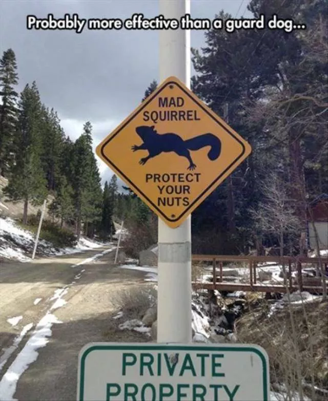Picdump 470 - #49 