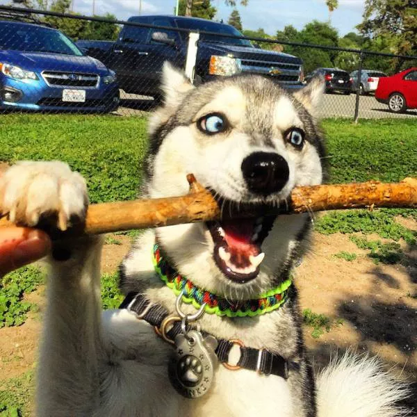 Picdump 81 - #25 