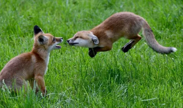 Picdump 81 - #28 