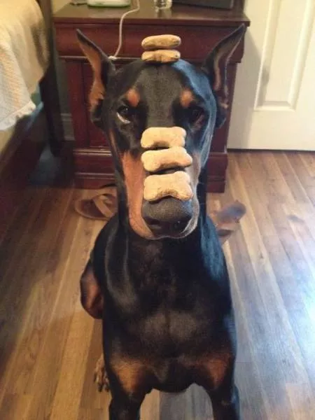 Picdump 81 - #29 