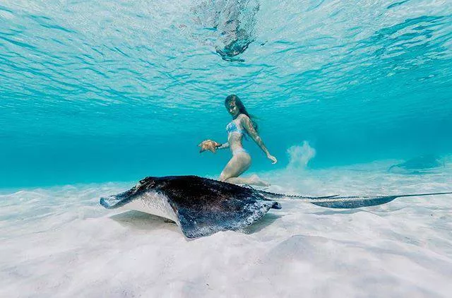Picdump 81 - #47 