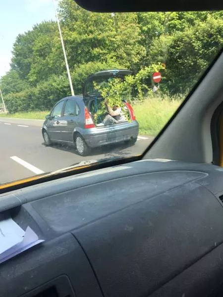 Picdump 81 - #5 
